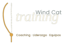 Wind Cat Training