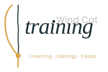 Wind Cat Training