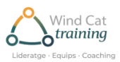 Wind Cat Training